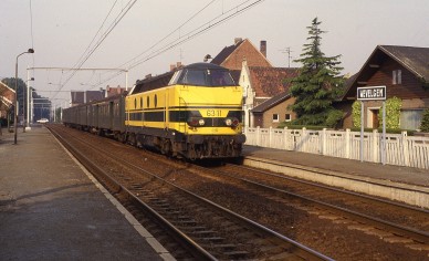 Wevelgerm - TH 87-2403.jpg